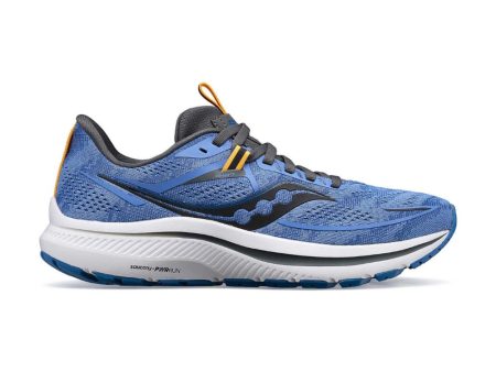 Saucony Women s Omni 21 - Horizon Shadow Cheap